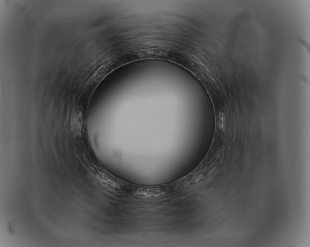 X0000091300915200708311333