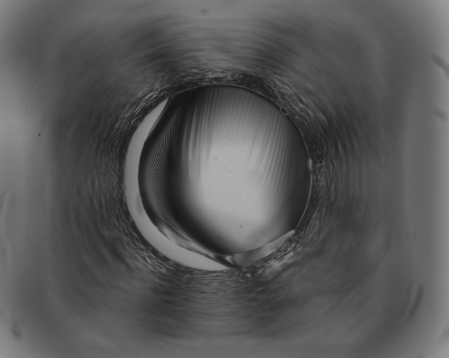 X0000091300916200708311333