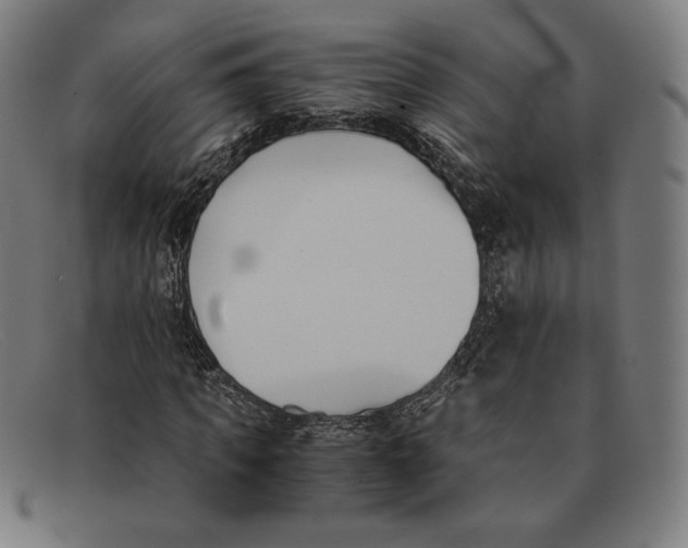 X0000091300917200708311333