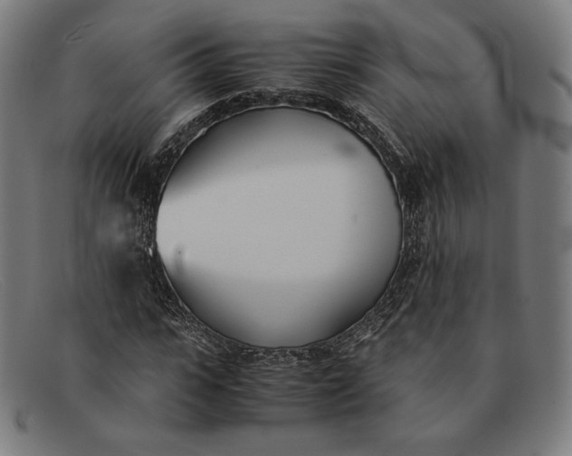 X0000091300919200708311333