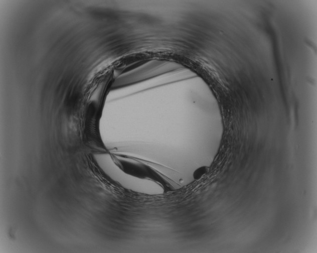 X0000091300920200708311333