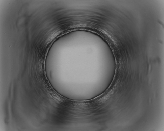 X0000091300921200708311333