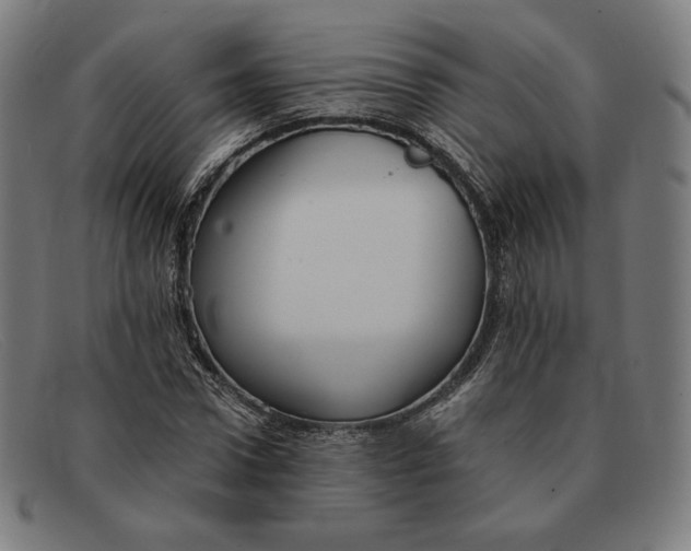 X0000091300922200708311333