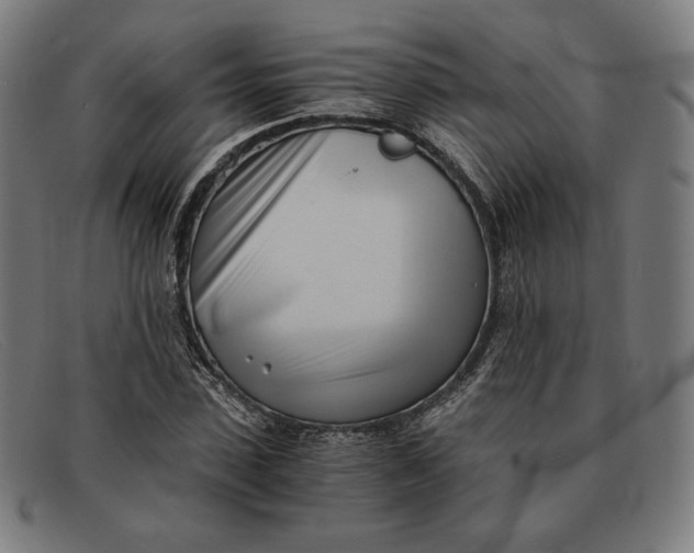 X0000091300923200708311334