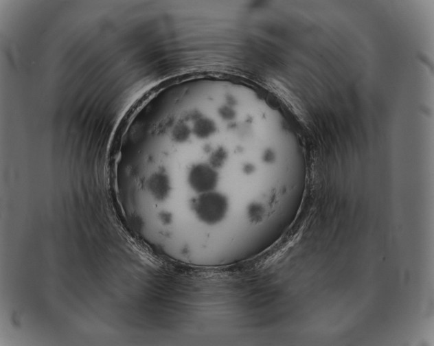 X0000091300924200708311334