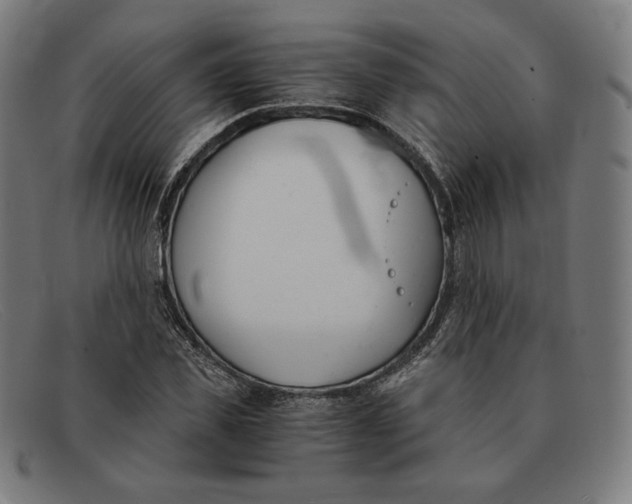 X0000091300925200708311334