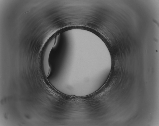 X0000091300926200708311334