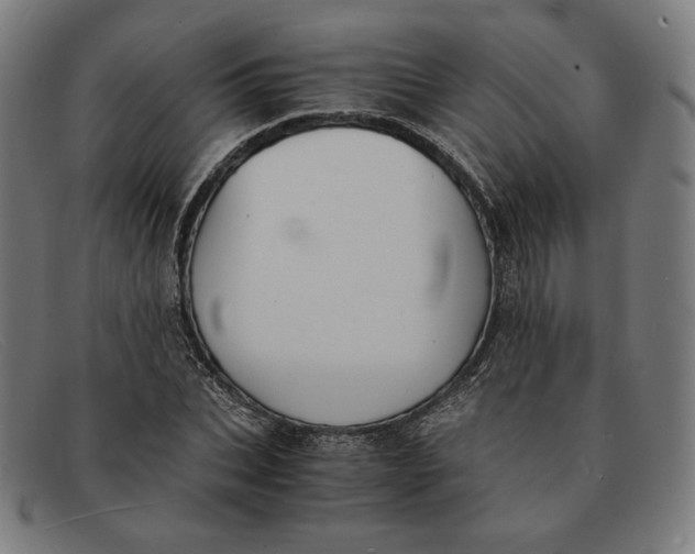 X0000091300927200708311334