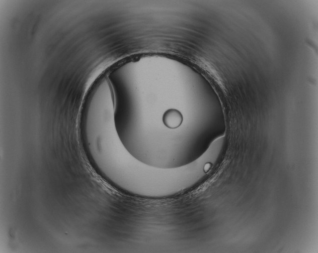 X0000091300928200708311334