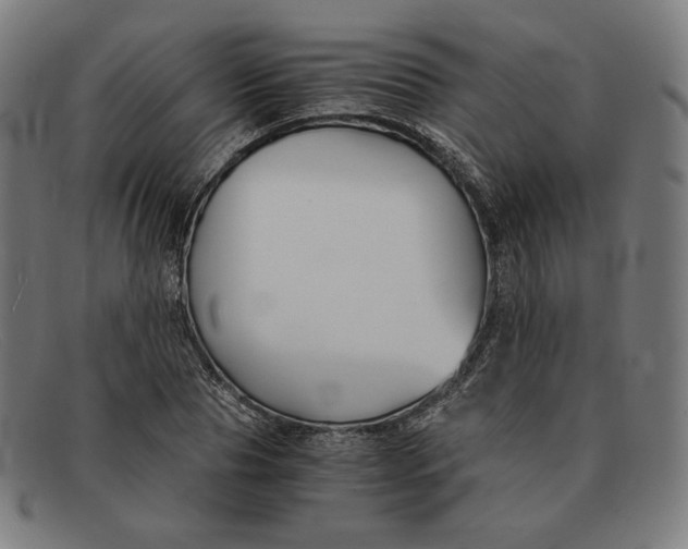 X0000091300929200708311334