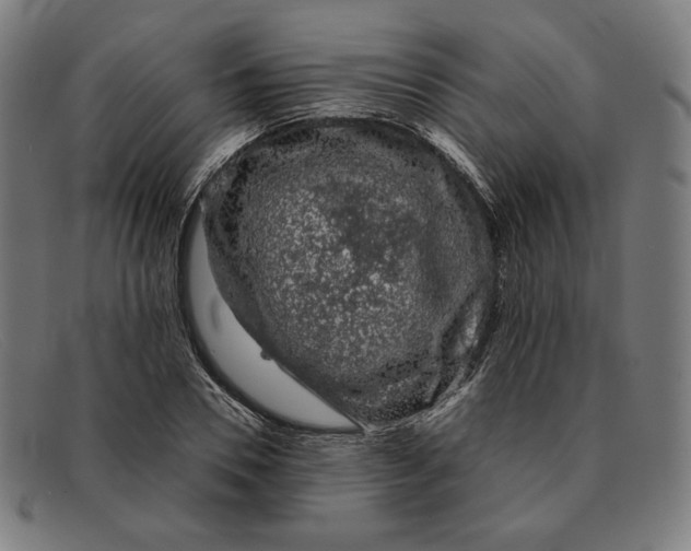 X0000091300930200708311334