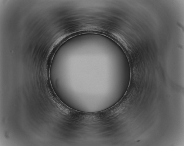 X0000091300931200708311334