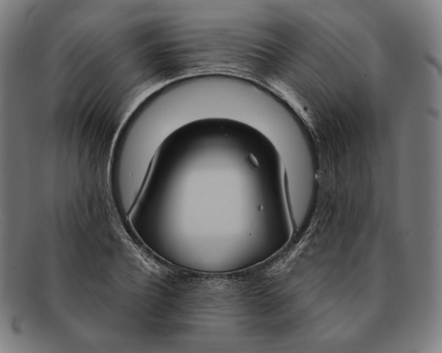 X0000091300932200708311334