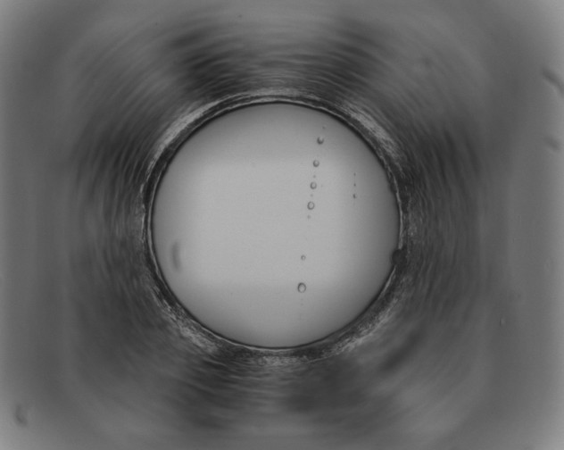 X0000091300933200708311334