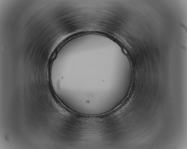 X0000091300934200708311334