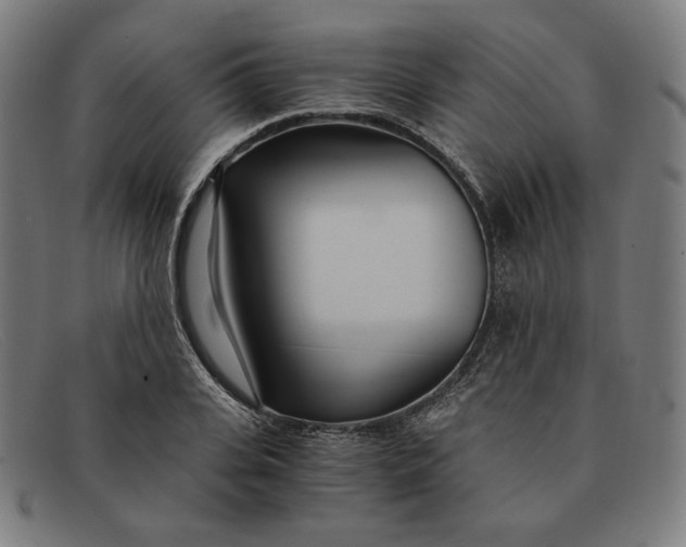 X0000091300935200708311334