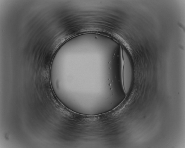 X0000091300937200708311334