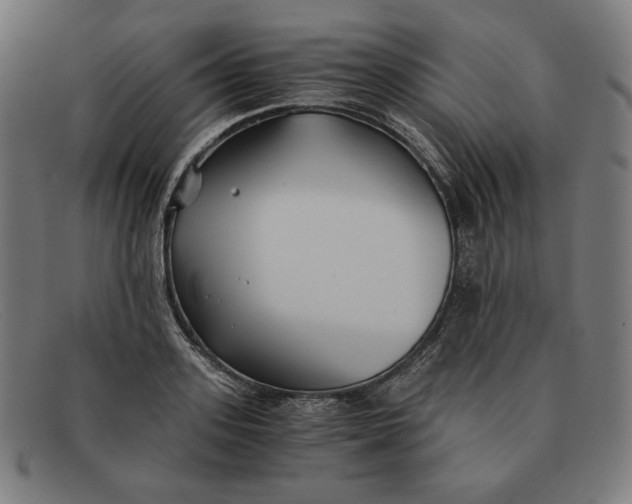 X0000091300939200708311334