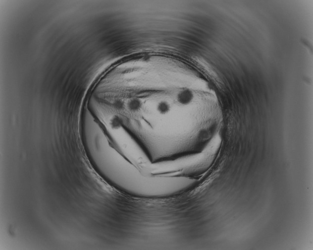 X0000091300940200708311334