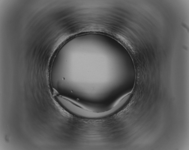 X0000091300942200708311334