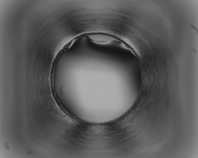 X0000091300943200708311334