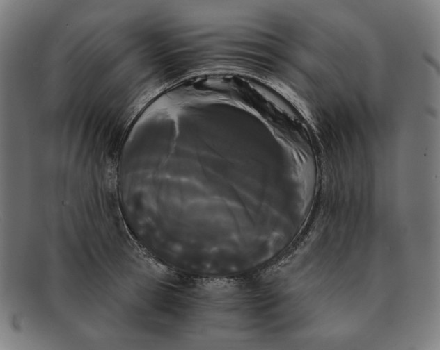 X0000091300945200708311334