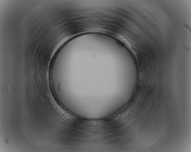 X0000091300947200708311334