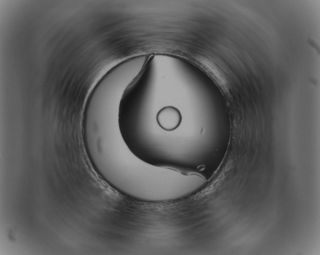 X0000091300948200708311334