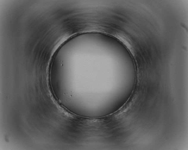 X0000091300949200708311334