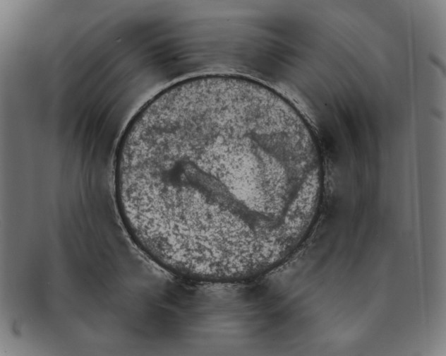 X0000091300950200708311334