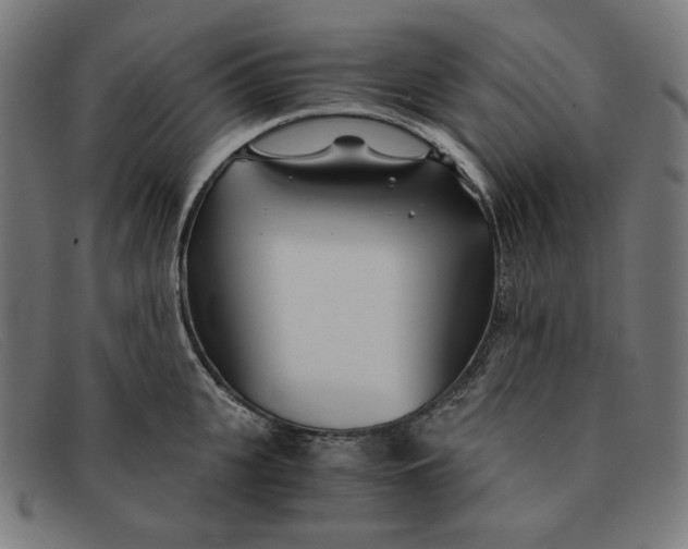 X0000091300951200708311334