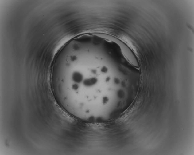 X0000091300952200708311334