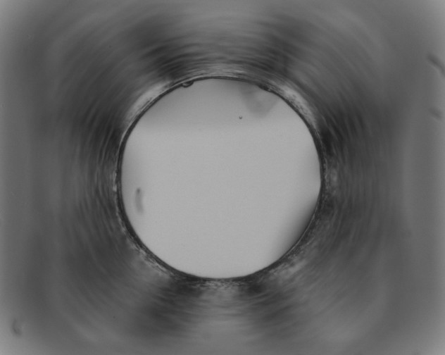 X0000091300954200708311334