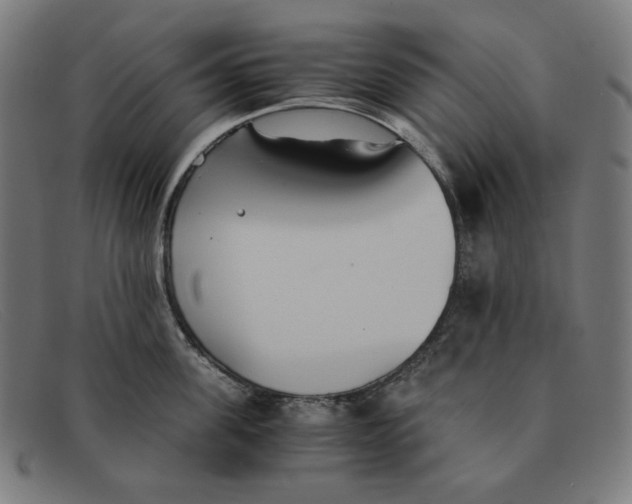 X0000091300955200708311334