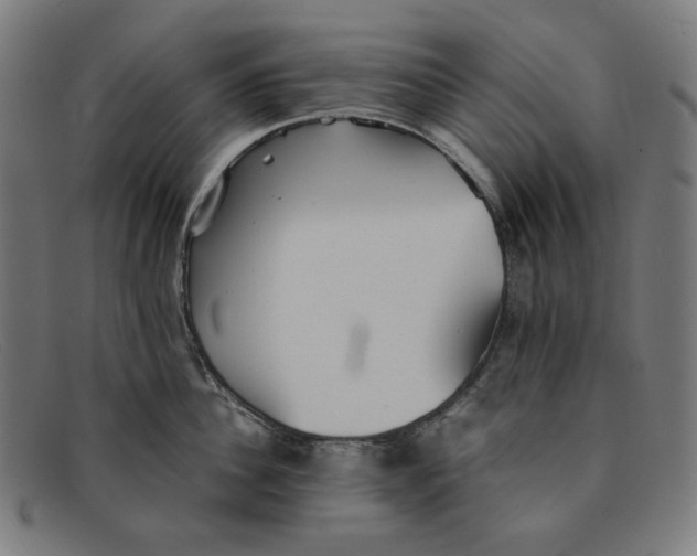 X0000091300956200708311334