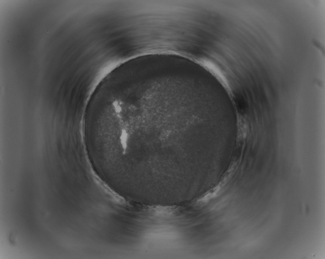 X0000091300958200708311334