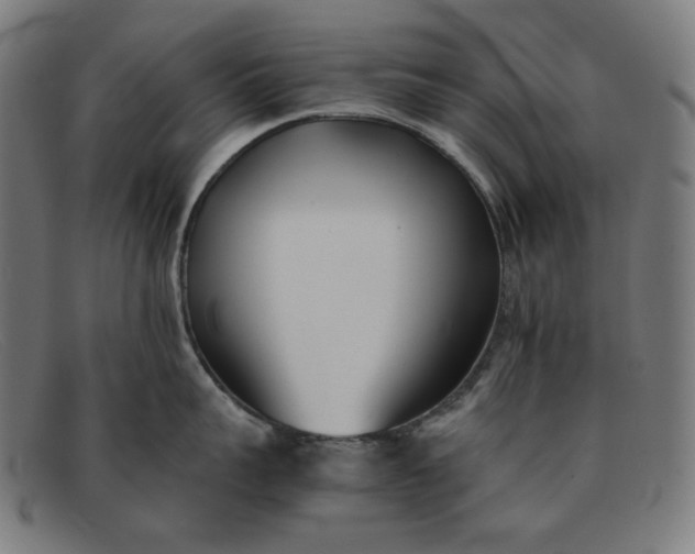 X0000091300959200708311334