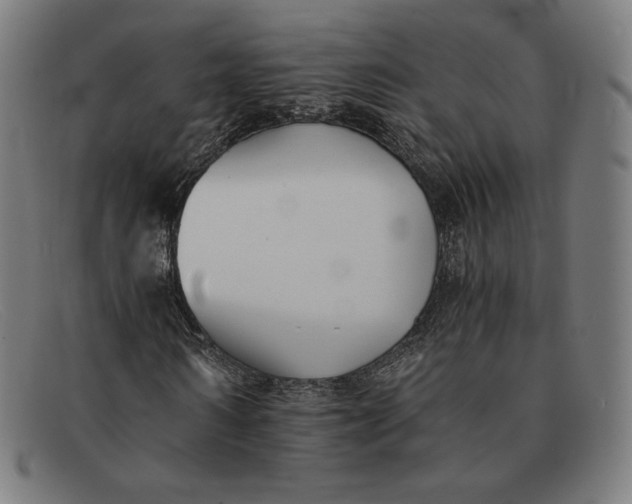 X0000091300962200708311333