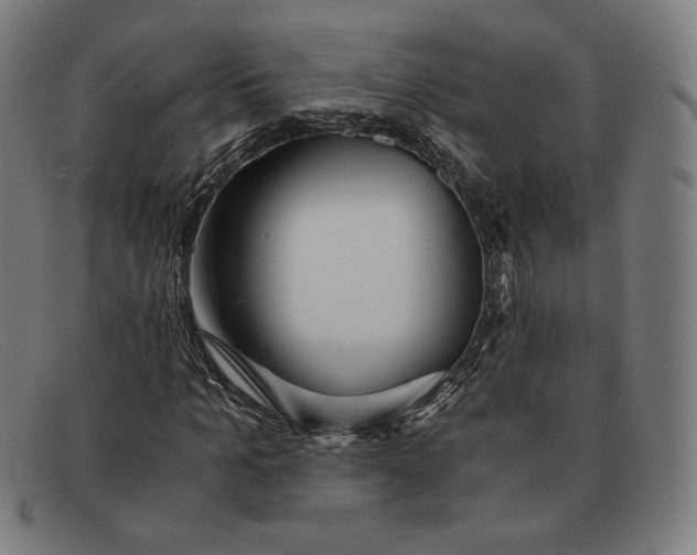 X0000091300965200708311333