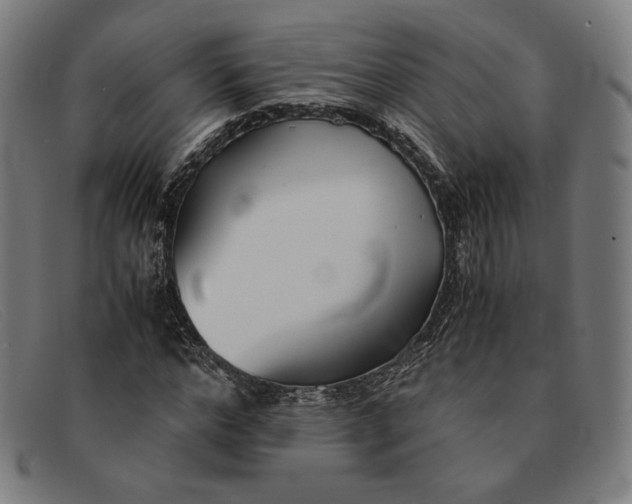 X0000091300968200708311333