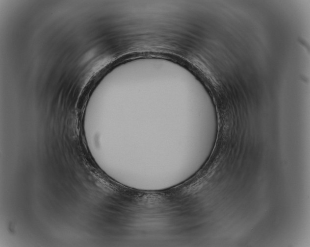 X0000091300974200708311333