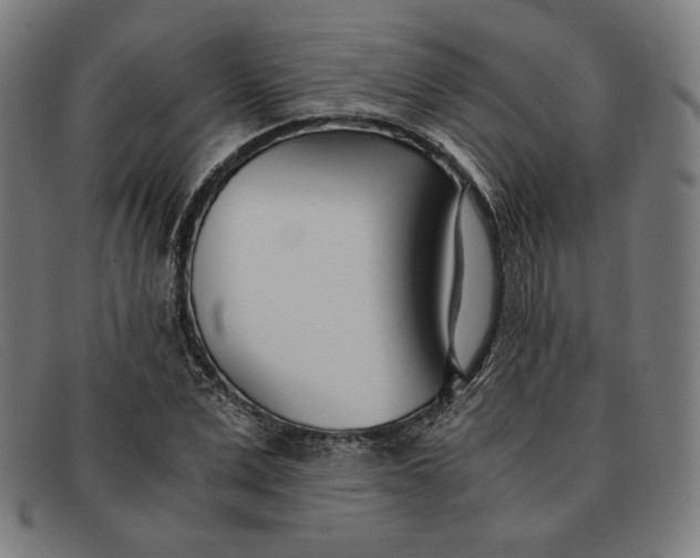 X0000091300975200708311333