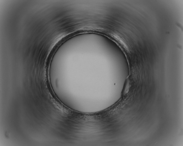 X0000091300976200708311333