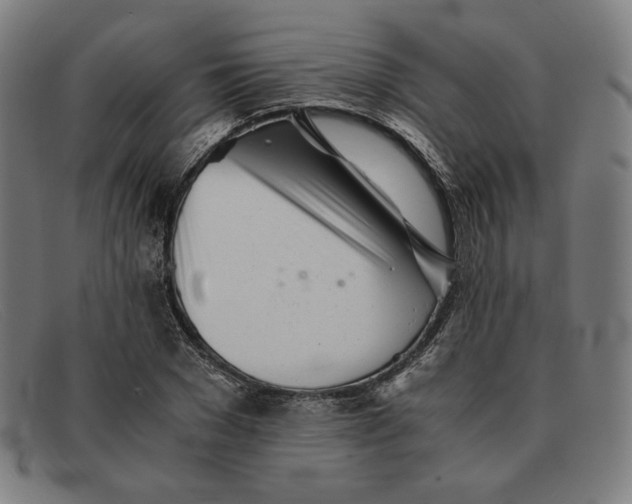 X0000091300977200708311333