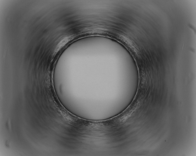 X0000091300978200708311333