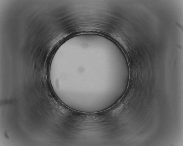 X0000091300979200708311333