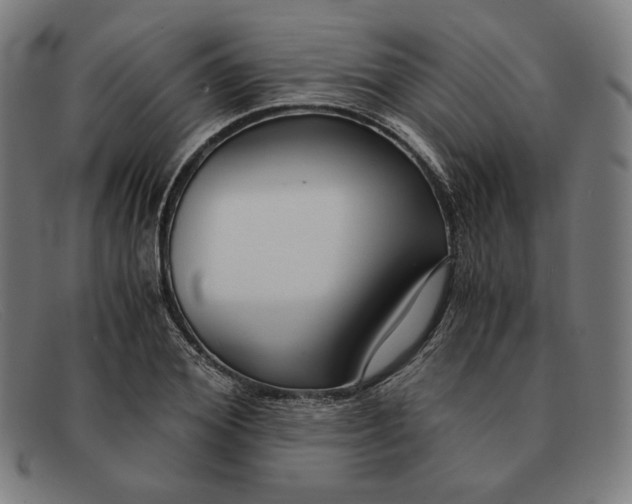 X0000091300980200708311333