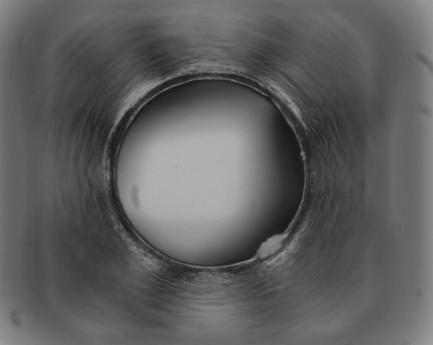 X0000091300981200708311333