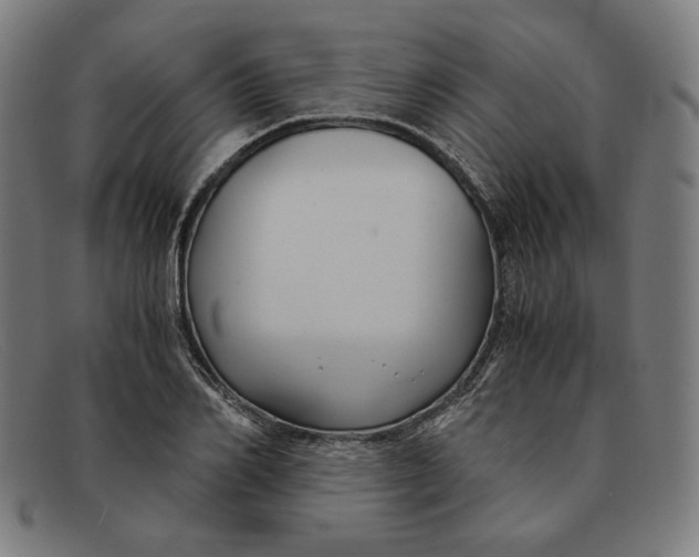 X0000091300982200708311333