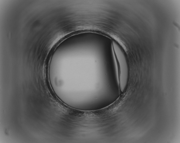 X0000091300983200708311333